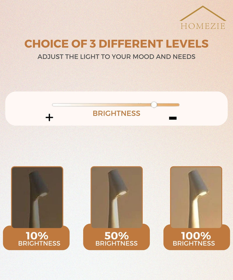 Homezie StandGlow | Floor Table Lamp | Unique Design | Long Battery Life | Night Light | Wireless Lamp