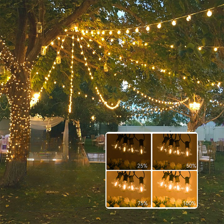 Homezie Light String Extension Cable with Dimmer | 3 Meters | Extend Your Light String and Make the LED Bulbs Dimmable